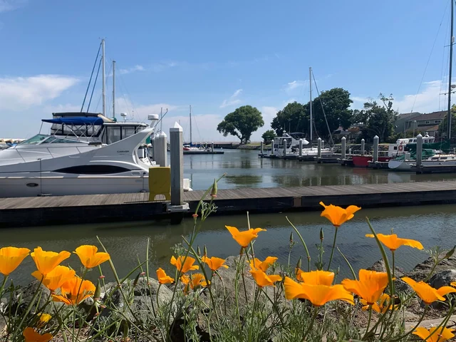 Photograph of Pittsburg Marina
