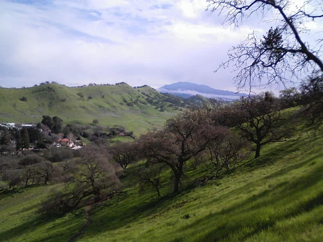 Photograph of Shell Ridge, Walnut Creek